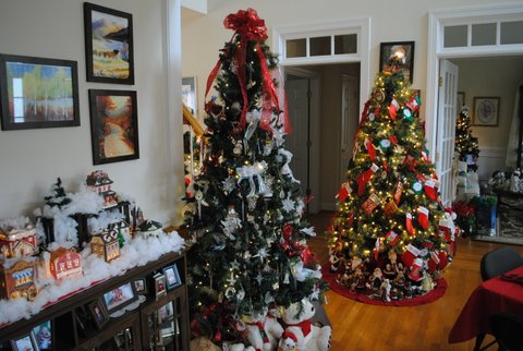 Still More Christmas Trees!