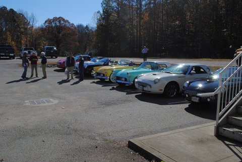 Full Line-up of 'Birds