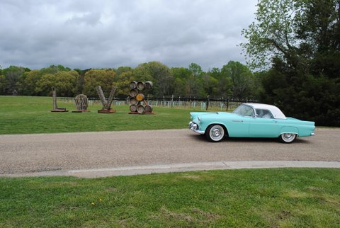 Linda & Bill's '55 @ "LOVE"