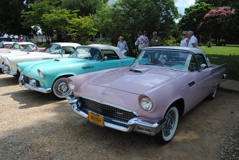 Tbird Line-up