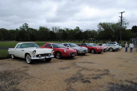 Nice Line-up of Tbirds