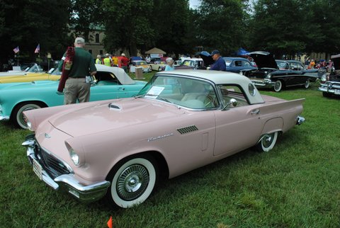 Alan's Dusk Rose '57