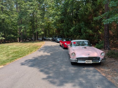 Tbirds Down the Driveway!