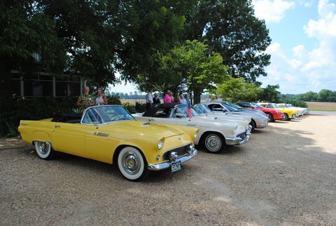 Tbird Line-up