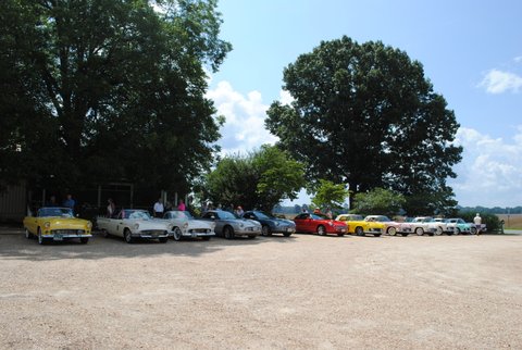 Full Tbird Line-up