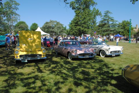 Tbirds 'Made in the shade'