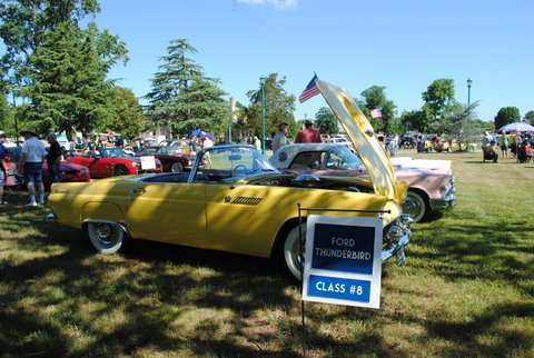 Thunderbird Line-up