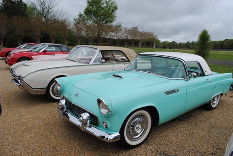 Nice Display of Cars